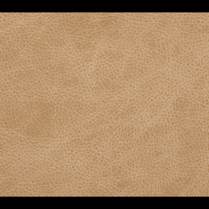 French Vanilla