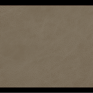 Desert